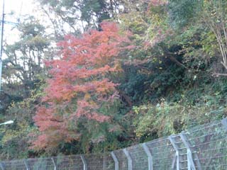071209_02.jpg