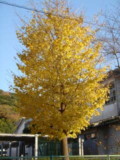 071209_03.jpg