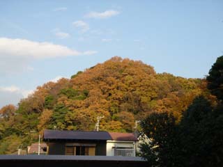 071209_05.jpg