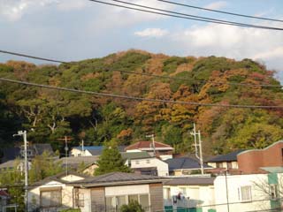 071209_06.jpg