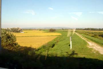 081103_05.jpg