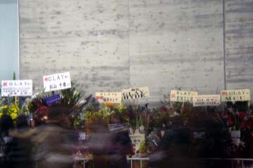 081231_07.jpg