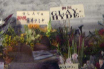 081231_09.jpg