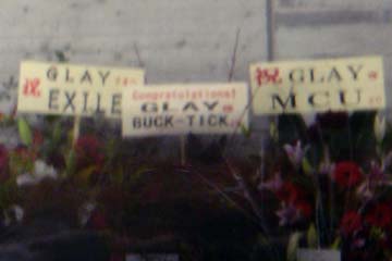 081231_10.jpg