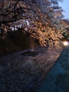 090410_03.jpg