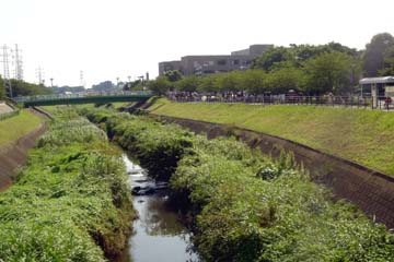090815_05.jpg