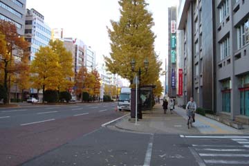 101120_06.jpg