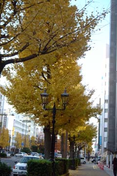 101120_07.jpg