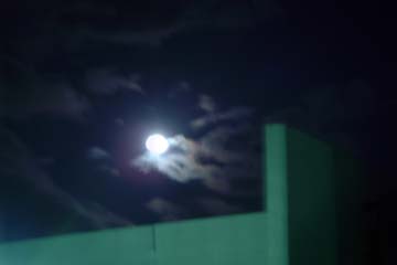 101121_01.jpg