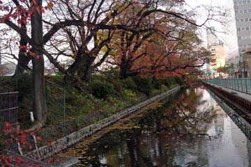 101123_02.jpg