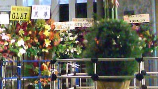 101229_03.jpg