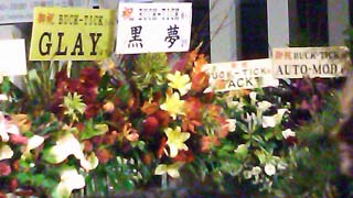 101229_04.jpg