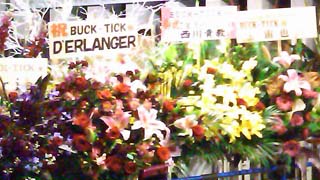 101229_05.jpg